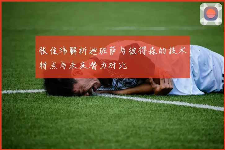 张佳玮解析迪班萨与彼得森的技术特点与未来潜力对比